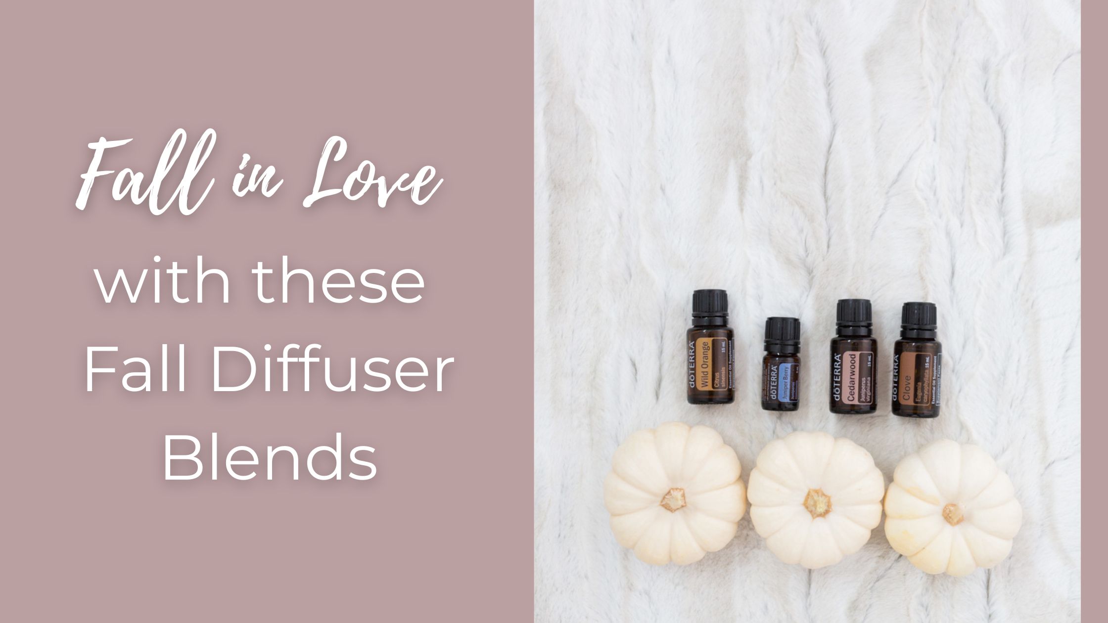 Fall in Love With These Fall Diffuser Blends - Carmen Modglin